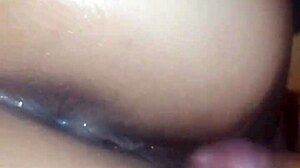 Me encanta mamar guebo y que me follen rico