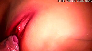 Her pussy wraps around my cock so comfortably close up sex anal big pussy sexy toys handjob assfucking double
