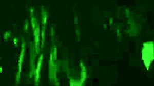 vintage erotic drawings from antique times