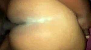 Backshot Vol 1: Fat BBW Gay Bareback Action