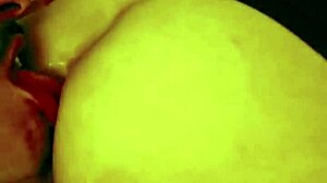 Dear Diary 12: Exhibitionism and Personal Adventures