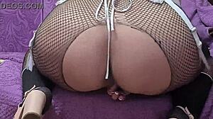 Masturbating Doggy Style In Fishnet Tights With Huge Ass On Display