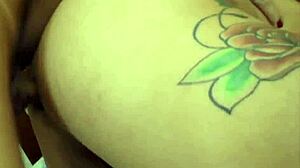 dream tranny shemale barebacks another in group compilation