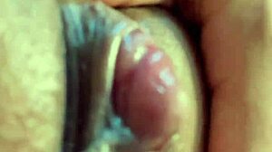 greludona chupa me in intriguing way