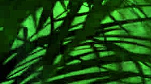 完美18岁嫩妹遭BBC迪兰布朗狠肛尿嘴😱