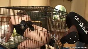 Mature PAWG in mask gets fucked by big black cock 😍