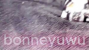 i'm bonneyuwu as leia star wars masturbating with daddy vader's dildo in cute cosplay