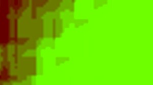 Missionary Position Video From October 11, 2017