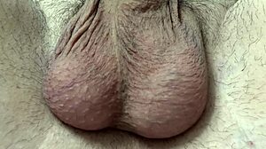 Small penis humiliation with girlfriend in bed