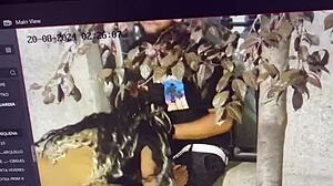 She gave sweet kisses to his penis right there in public outdoors.