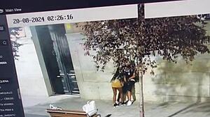 She gave sweet kisses to his penis right there in public outdoors.