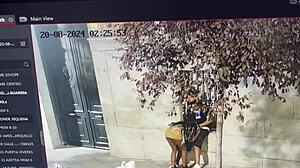 She gave sweet kisses to his penis right there in public outdoors.