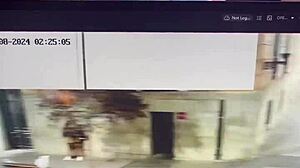 She gave sweet kisses to his penis right there in public outdoors.