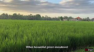 Stranger helped bike, thanked with pussy creampie.