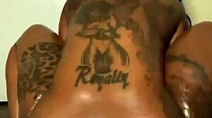 best workout plan since kanye song