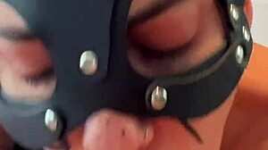 Good kitty sucks a good cock and gets fucked please cum on me