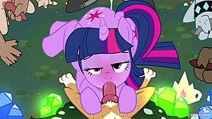 金丝雀初级签署非侵略条约