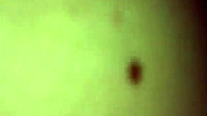 Watch this horny roommate get a creampie in the dorm!