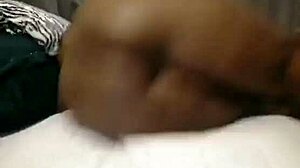 Nigarchrist Update With Petal On July 13 2025