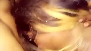 nigarchrist update 1347 with petal