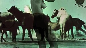 dark lantern presents women with animals 🐾