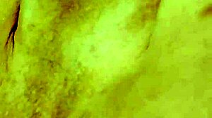 The intriguing journey of latina shemale stevi dolly unfolds