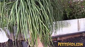 Little Amateur Ho Rides Cock After Blowjob In Tiny 18+ Mouth!