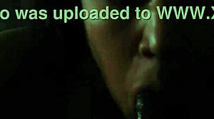 Adriana Sucking Cock! It's Raw And Hard!