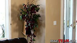 I love watching lesbian milf tribbing with scissoring and fingering in lingerie