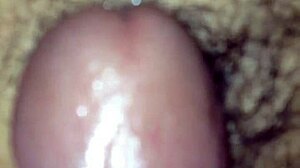 Vietnamese Wife In Loving Embrace