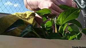 Regando Minhas Plantas Toda Pelada Na Varanda Para Quem Quiser Ver - Parte 02-