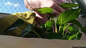 Regando Minhas Plantas Toda Pelada Na Varanda Para Quem Quiser Ver - Parte 02-