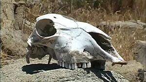 Daisy Marie Wants To Try Every Flavor