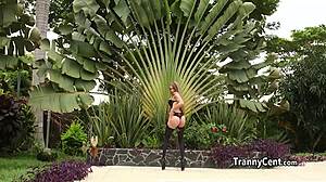 Shemale Beauty Gangbanged Hard