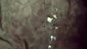 Cumshot Compilation Highlights