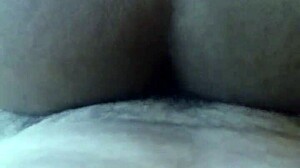 Por El Culo A Gordita!