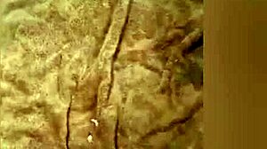 Cumshot Compilation Highlights