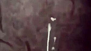 Cumshot Compilation Highlights