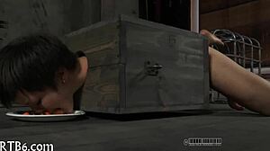 Tossed Up Girl Is Punished In Garage