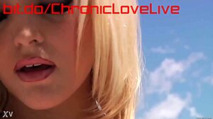 what's the fun like by the poolside