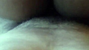 Por El Culo A Gordita!