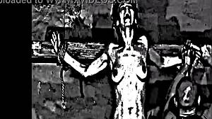 Big tits and big asses on display in this video