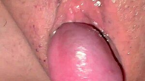 amateur pink pussy looks so wet and inviting 210 days after losing her virginity