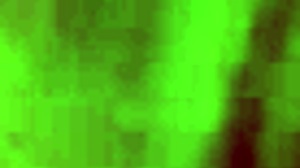 Foxy Kitten Endures Harsh Anal Therapy in Madhouse.