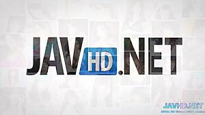 asian porn hd compilation vol 43 is super hot 🔥