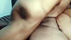 Nigarchrist Update 1439 - Petal 20250617 134007 - Jun 17 2025