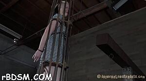 Wild bonding with babes' sexy jugs in bdsm play