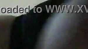 Look At This Amateur Bent Over In Doggystyle!