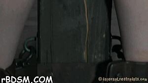 beauty is caged with shaved area exposed