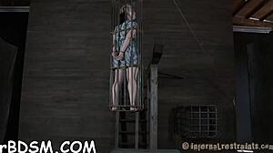 Wild bonding with babes' sexy jugs in bdsm play